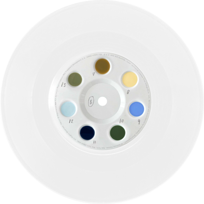 The light in the painting -  7" Vinyl